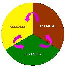 Rotacin de cultivos