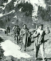 Maquis en el Pirineo